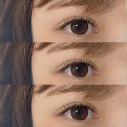 当店オフ込み🪴フラットラッシュ120本