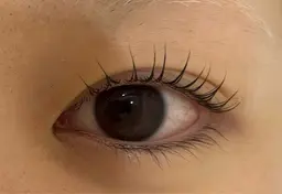 まつ毛パーマ上のみ