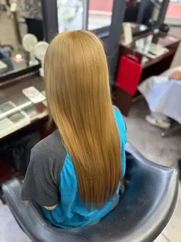 💫プラチナシールエクステ60枚 47cm💫