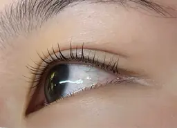 ２名様限定まつ毛パーマ練習モデル様