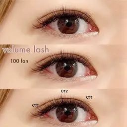 3D lash 80~100