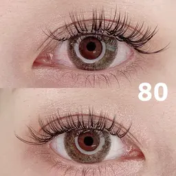 当日限定バインドロック80束