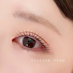 ☃️12月限定❄️ミニモ限定価格☃️パリジェンヌラッシュリフトｏｒ似合わせラッシュリフト