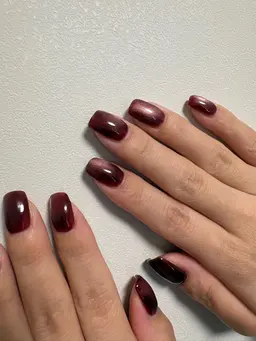 ワンカラー（マグネット）◎オフ有