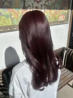 🩶ブリーチなしフルカラー🩶