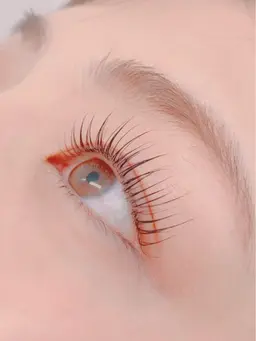 限定💜アイシャンプー付ラッシュリフト