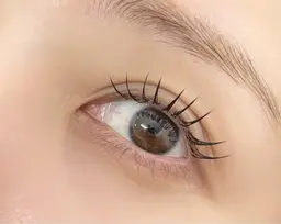 【当日限定クーポン🌈】フラットラッシュ100本まで付け放題(オフ込み)