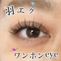 【新メニューお試しモデル】🪽羽エク🪽10~20束➕フラットラッシュ60本