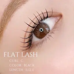 【モチ抜群】フラットラッシュ100本👀