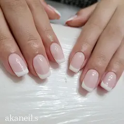 [ オフなし ]  フレンチ