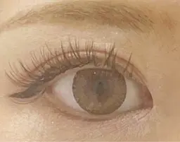 🌻まつげエクステ🌻ダブルフラット100束