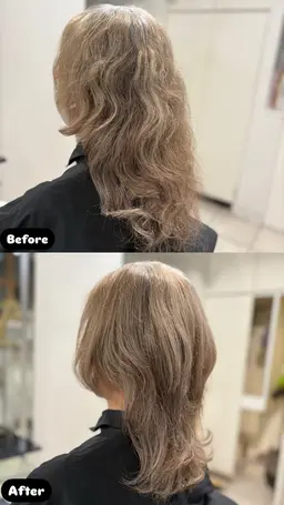 カットモデル募集中です！