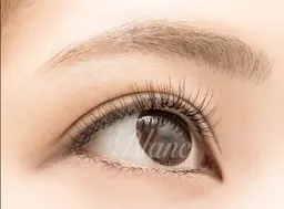 無料✨マツエクモデル様募集✨募集日時ご確認下さいませ😊