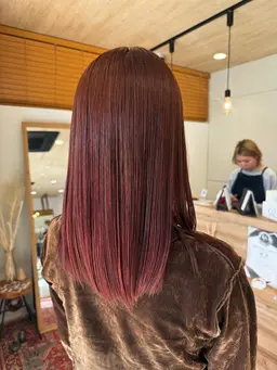 【12月14日限定メニュー⭐️】one color🤎