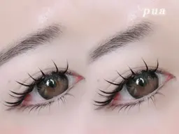 🦋特別価格🦋今流行りのマツエク×まつ毛パーマ(ダブルフラット120本)オフ込み