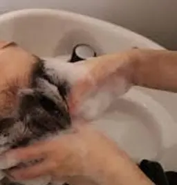 【炭酸spa】筋膜リリースヘッドスパ30分（ブロー込）