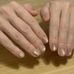 マグネットワンカラー(定価)