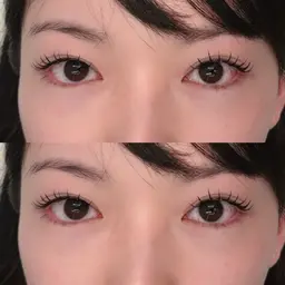 【12/11 11:30限定】フラットラッシュ👀80本