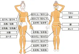 【初回お試し】レディース全身脱毛・お顔/VIOなし