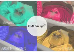 【9月限定🫧】毛穴洗浄（全顔）＋保湿&選べるパック💙💚💛＋オメガLEDライト