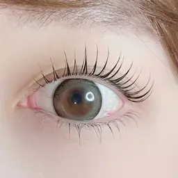 【直前割💭】パリジェンヌor韓国ロッドorメーテルデザイン+トリートメント