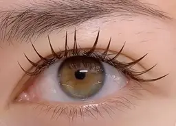 ☆最軽フラットラッシュ☆120本まで付け放題