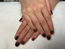 ワンカラー、グラデーション、フレンチ