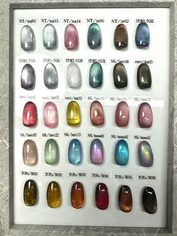 12月ご新規様限定☆マグネットワンカラー【オフ無料】