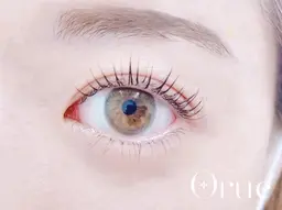 《何度でも同価格》眉毛ワックス＋まつげパーマ