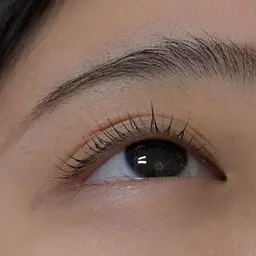平日限定♡選べる★パリジェンヌorラッシュリフト上マツゲ　通常4400円を当日割❤美容液コーティング付✨️