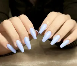 12月限定【チップ長さ出し】マグネット・ワンカラー・ラメグラ 【⚠️オフ無し】¥4000