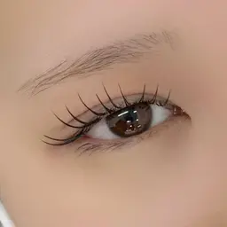 🩶大人気シマーラッシュ🩶【エクステ80本＋まつ毛パーマ/オフ込み】アイシャンプー付き🫧