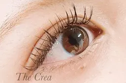 【モデル】ボリュームフラットラッシュ120本