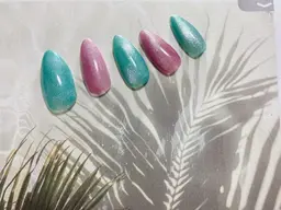 ワンカラーのみ