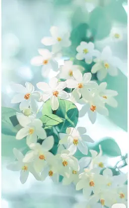 🌿ヘッドスパ🌿