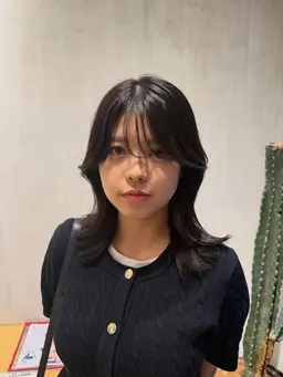 【平日限定】水、木曜日18時or18時半～ レイヤーカットモデルさん募集中✨ カット➕1stepトリートメント ￥0‼️