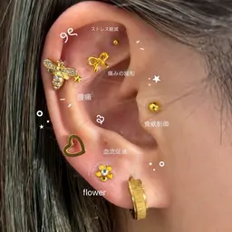 ˗ˏˋエリア最安 ˎˊ˗  耳ツボジュエリー💎