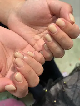 半額🌟ワンカラー(マグネット可)