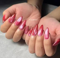 マグネットネイル💅🏻オフあり❤️パーツ無料付け放題【派手ネイル不可要相談】