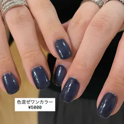 【HAND】ワンカラー☝🏻追加料金なしでマグネット/ミラーあります✨🌼フィルイン可能💁🏻‍♀️メンズOK