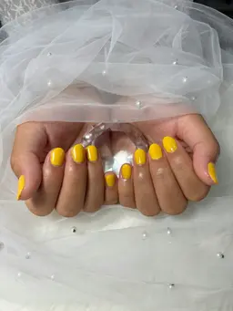 オフ有無　ワンカラー
