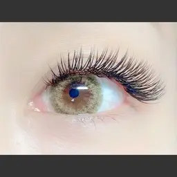 ジェットブラック💫40束