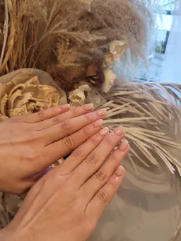 オフなしワンカラー