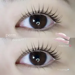 【新規】網紅/ワンホンまつ毛パーマ🇰🇷🎀