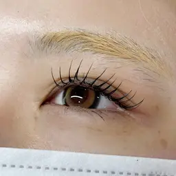 LEDフラットラッシュ120本💟(アイシャンプー付き)