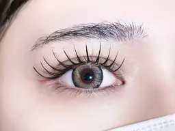 12/2,5限定フラットラッシュ120本(ブラウン＋500円)