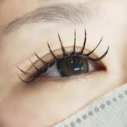 ジェットブラック💫40束