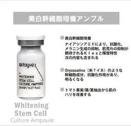 美白ケアコース✨️透明感のある明るい肌へ【シミ・くすみ】耳ツボジュエリー付き(美肌)👂