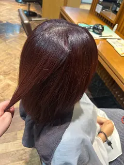 ✨ブリーチなしワンカラー(白髪染め🆗)➕プチトリートメント