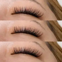 " 限定 "オフ込 バインドロック 80束(160本)　🎀